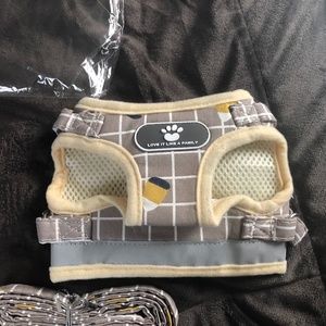 Cat or dog harness with a leash.